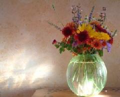 sunlit vase