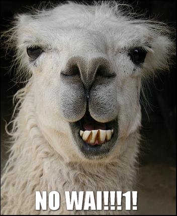 ilkerâ€™s llama