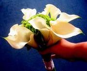 flowers from the soul