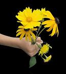 flowers from the heart