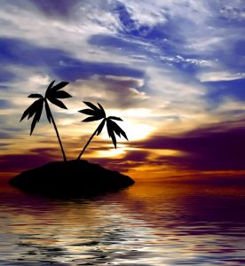 Tropical sunset with two palm trees