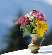 beautiful flowers and a bee in the sunlight