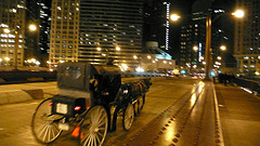 horse and carriage by Andrew Dubber