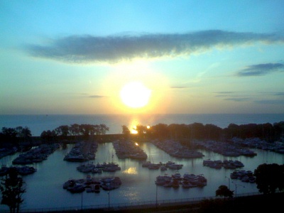 Risktaker1_by_Liz_Strauss50