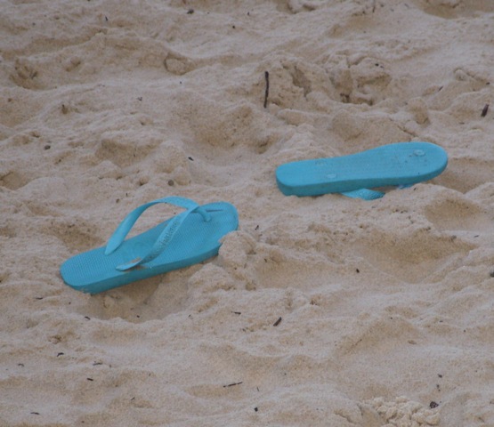 flipflop_by_des_walsh