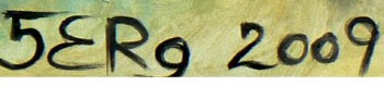 5erg-2009