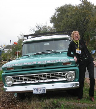 flamingo_chevy_connie_burke-2 flamingo_chevy_connie_burke-2