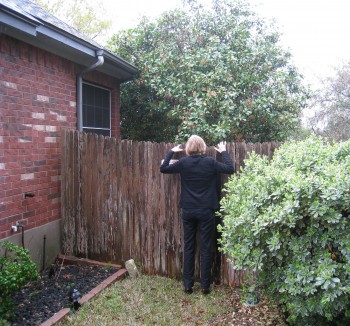 liz_at_fence_by_c0nnie_burke-3 liz_at_fence_by_c0nnie_burke-3