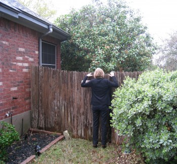 liz_at_fence_by_c0nnie_burke-3