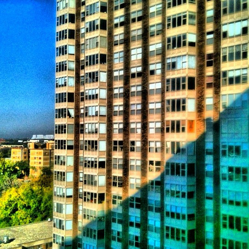 Do you live in the sun or the shadow
