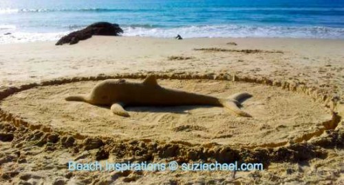 sand dolphin