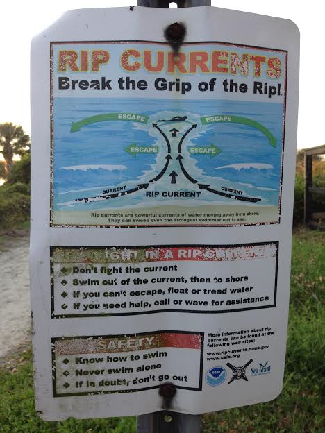 avoid the rip current
