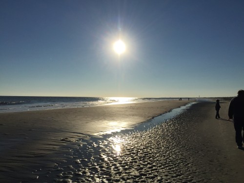 crystal clear beach day