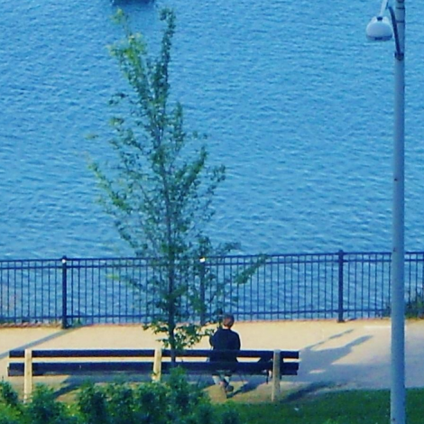 Beach Garden - Successful Blog