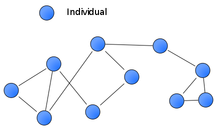 What Is Social Networking?