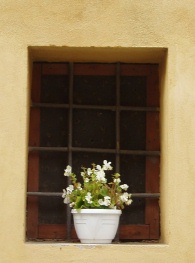 Ospitalità! Prego! What My Italian Grandmother Knew about Community Building