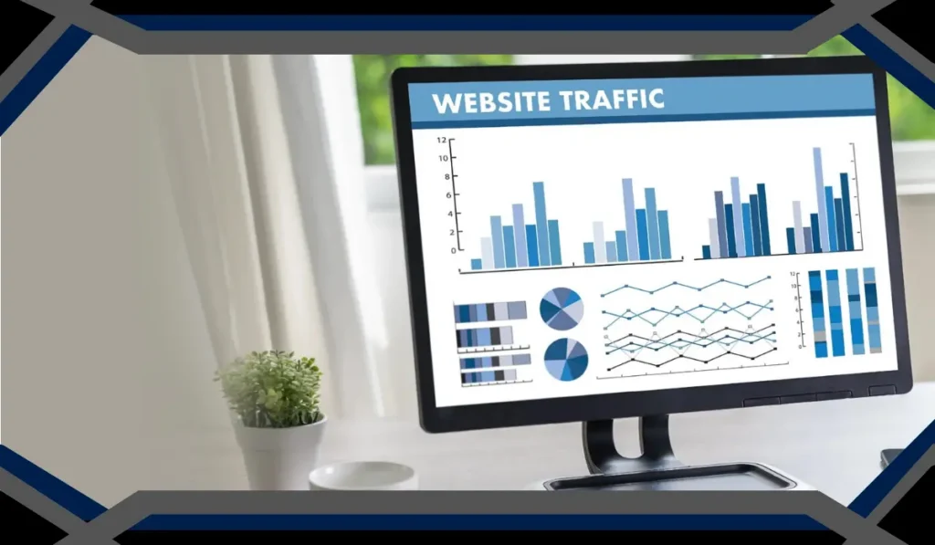 website visitors