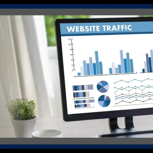 website visitors