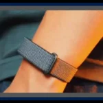 Google Fitbit Air